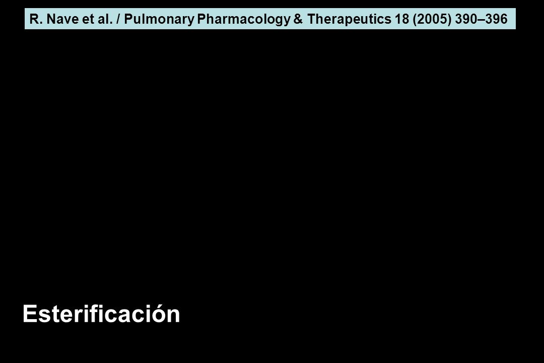 R. Nave et al. / Pulmonary Pharmacology & Therapeutics 18 (2005) 390–396