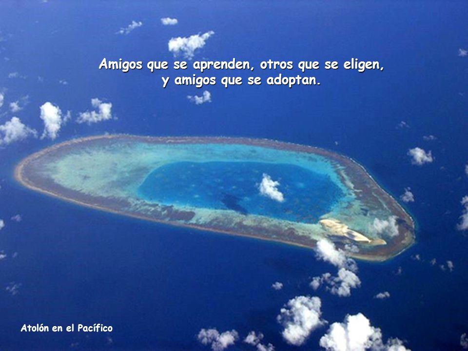 Amigos que se aprenden, otros que se eligen, y amigos que se adoptan.