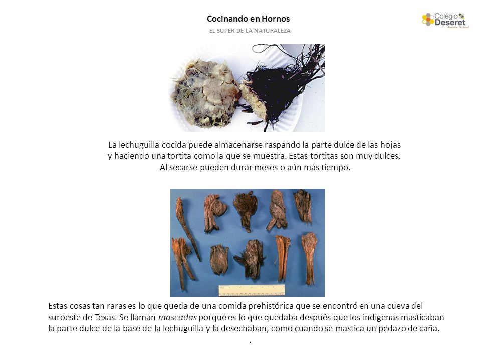 EL SUPER DE LA NATURALEZA