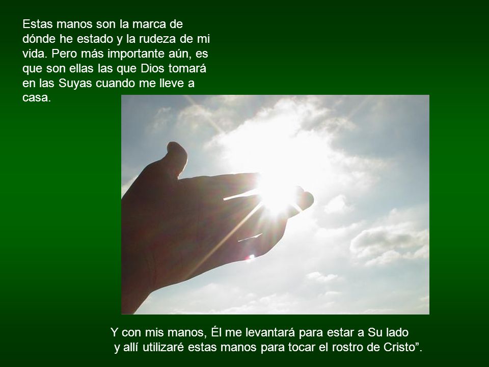 Estas manos son la marca de dónde he estado y la rudeza de mi vida