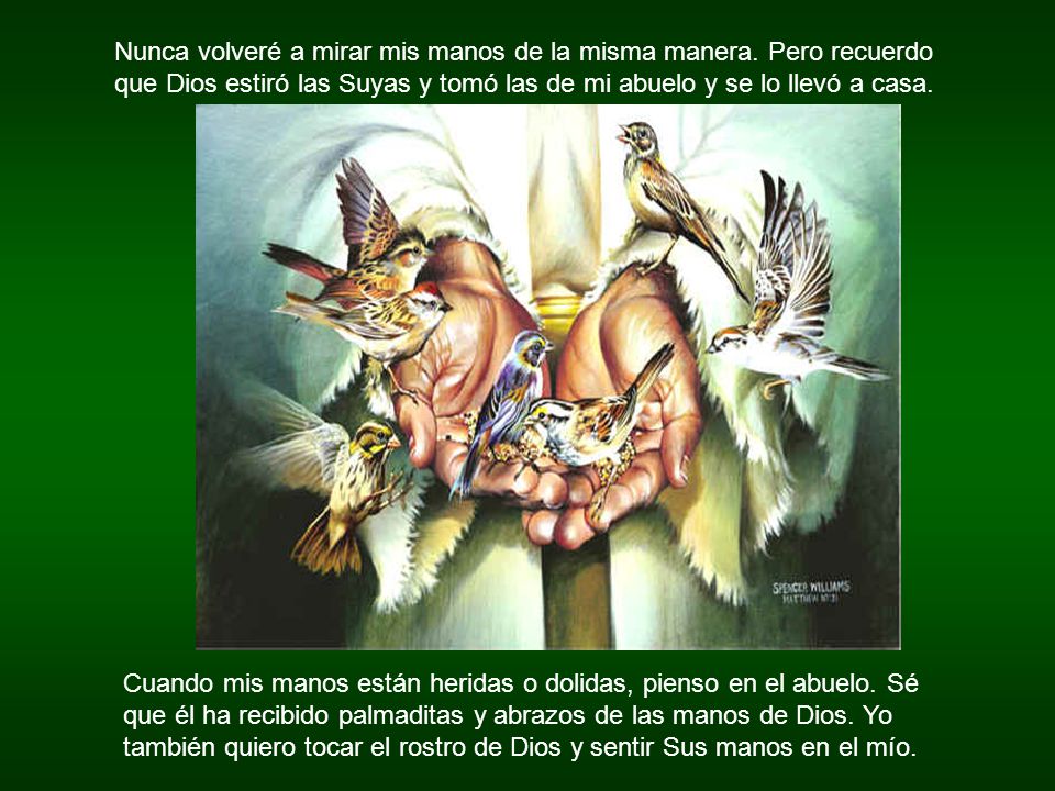 Nunca volveré a mirar mis manos de la misma manera
