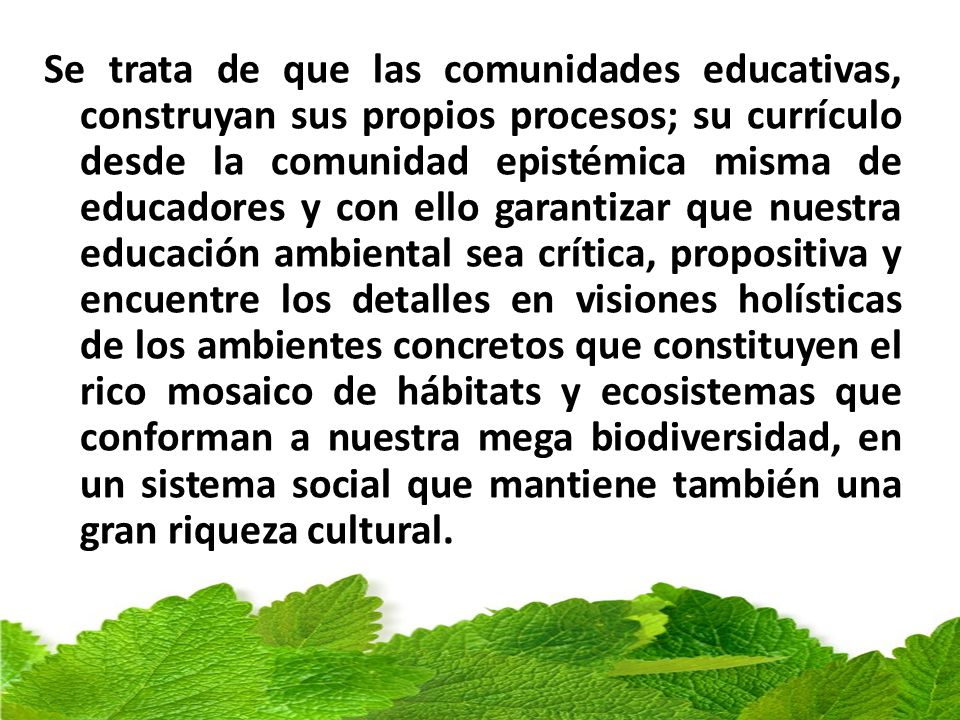 Se trata de que las comunidades educativas, construyan sus propios procesos; su currículo desde la comunidad epistémica misma de educadores y con ello garantizar que nuestra educación ambiental sea crítica, propositiva y encuentre los detalles en visiones holísticas de los ambientes concretos que constituyen el rico mosaico de hábitats y ecosistemas que conforman a nuestra mega biodiversidad, en un sistema social que mantiene también una gran riqueza cultural.