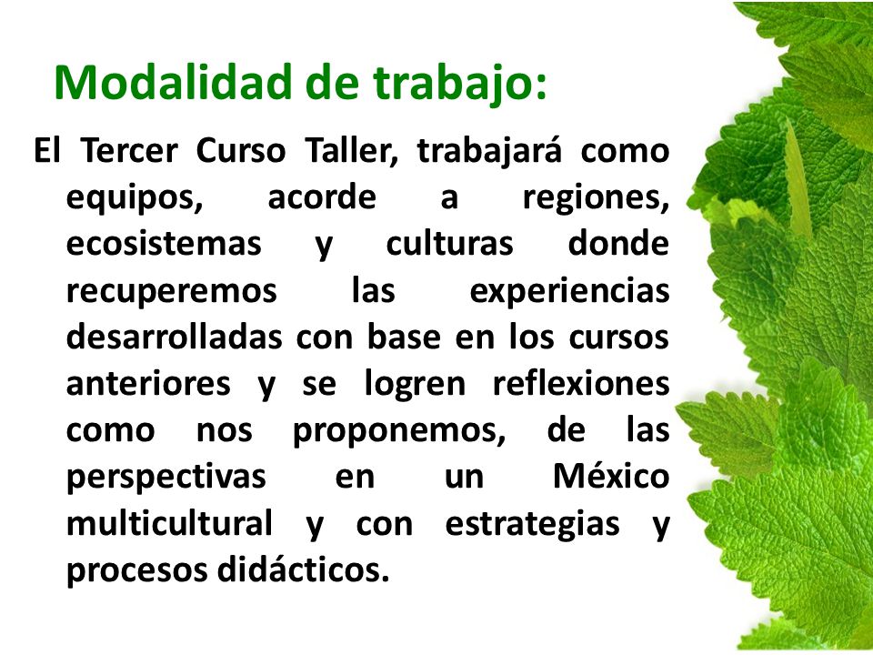 Modalidad de trabajo: