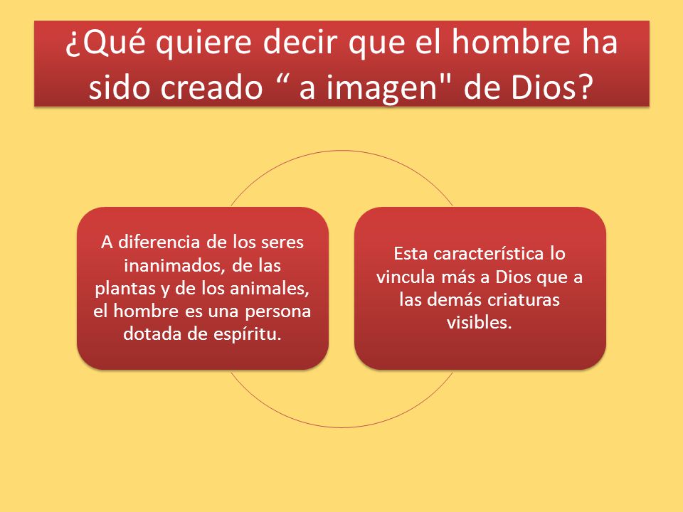 ¿Qué quiere decir que el hombre ha sido creado a imagen de Dios