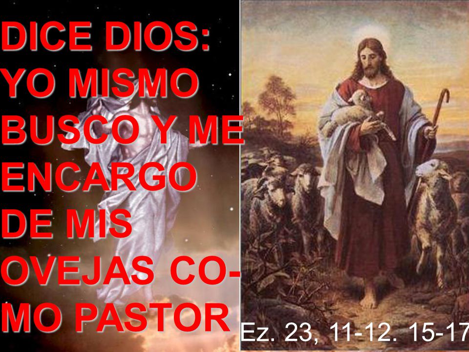 DICE DIOS: YO MISMO BUSCO Y ME ENCARGO DE MIS OVEJAS CO- MO PASTOR