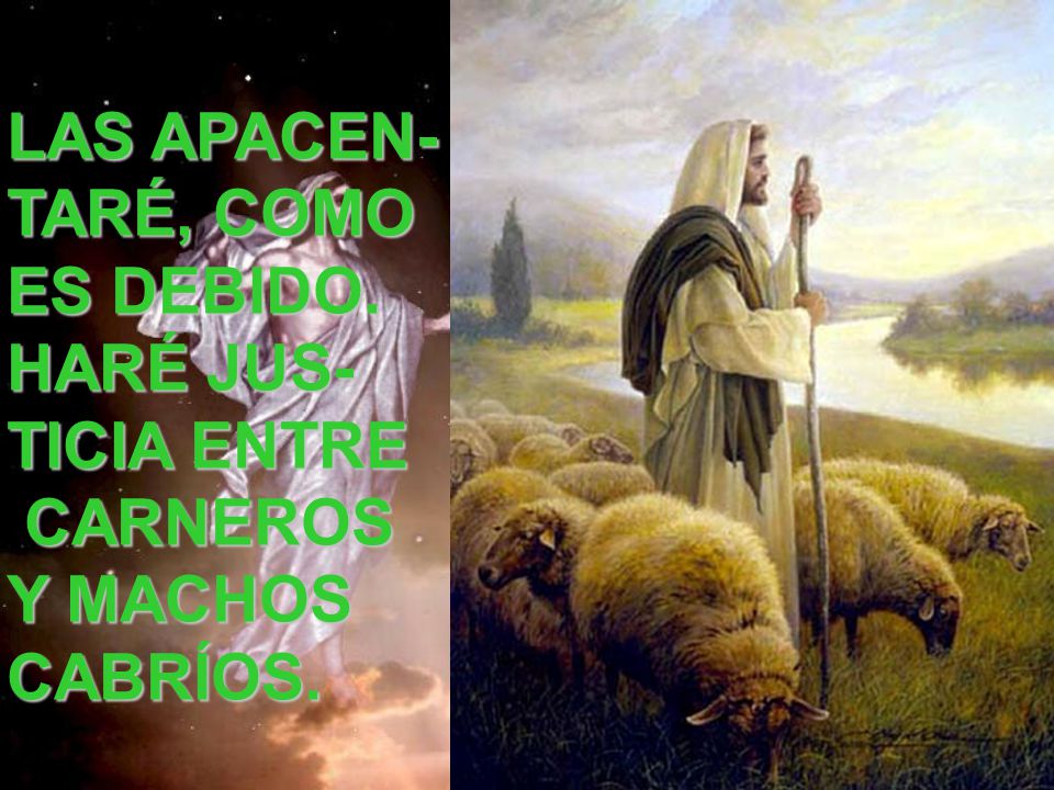 LAS APACEN- TARÉ, COMO ES DEBIDO. HARÉ JUS- TICIA ENTRE CARNEROS Y MACHOS CABRÍOS.