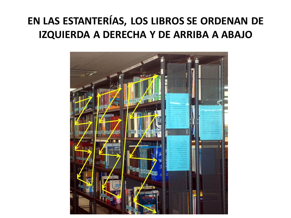 EN LAS ESTANTERÍAS, LOS LIBROS SE ORDENAN DE IZQUIERDA A DERECHA Y DE ARRIBA A ABAJO