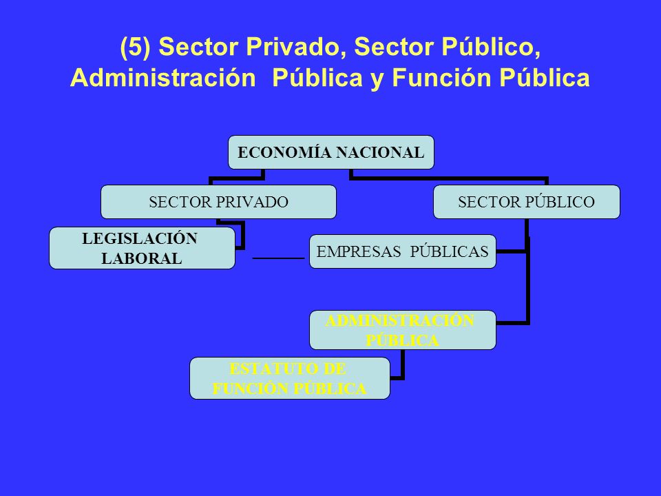 (5) Sector Privado, Sector Público, Administración Pública y Función Pública