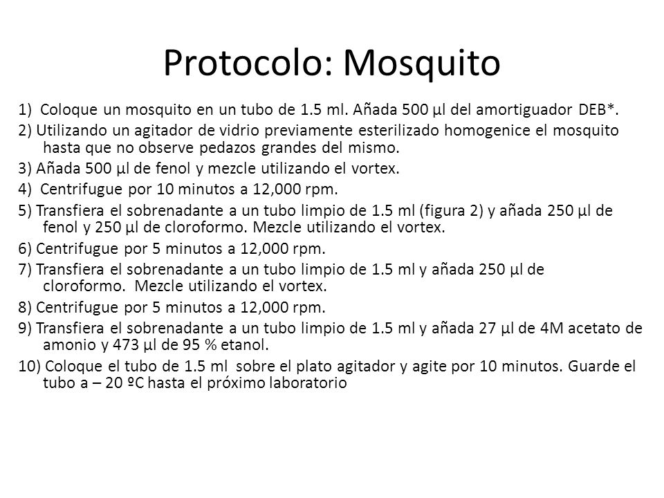 Protocolo: Mosquito 1) Coloque un mosquito en un tubo de 1.5 ml. Añada 500 µl del amortiguador DEB*.
