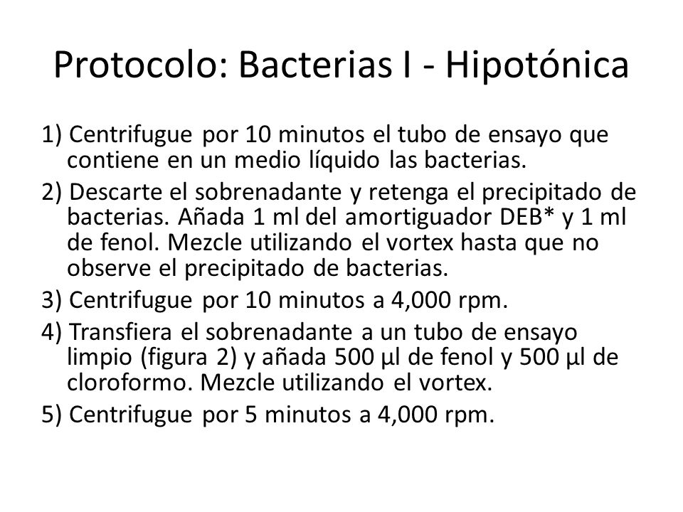 Protocolo: Bacterias I - Hipotónica