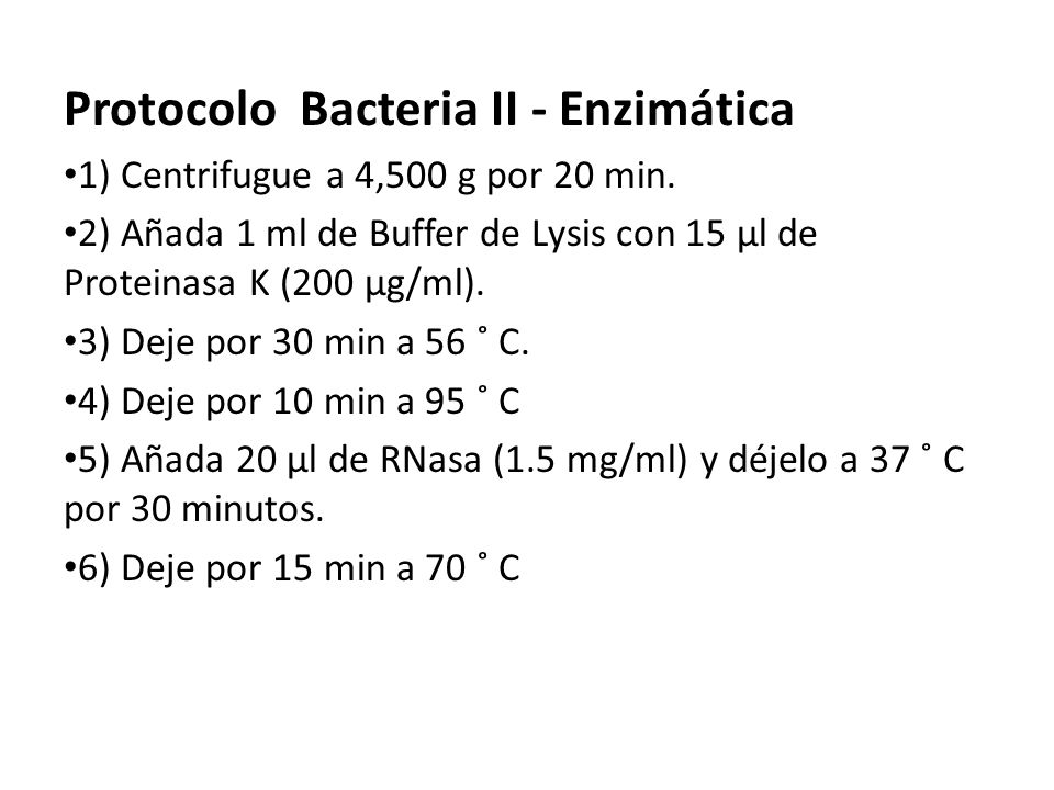 Protocolo Bacteria II - Enzimática