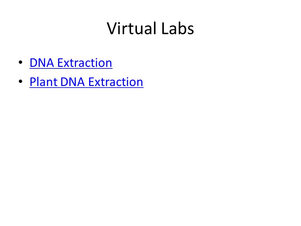 Virtual Labs DNA Extraction Plant DNA Extraction