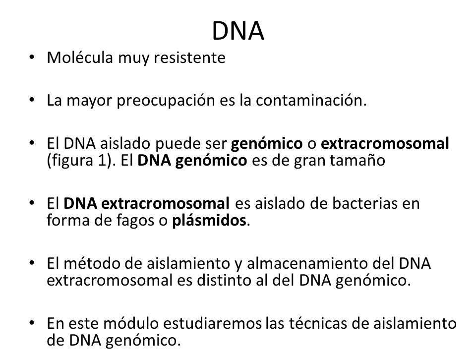 DNA Molécula muy resistente La mayor preocupación es la contaminación.
