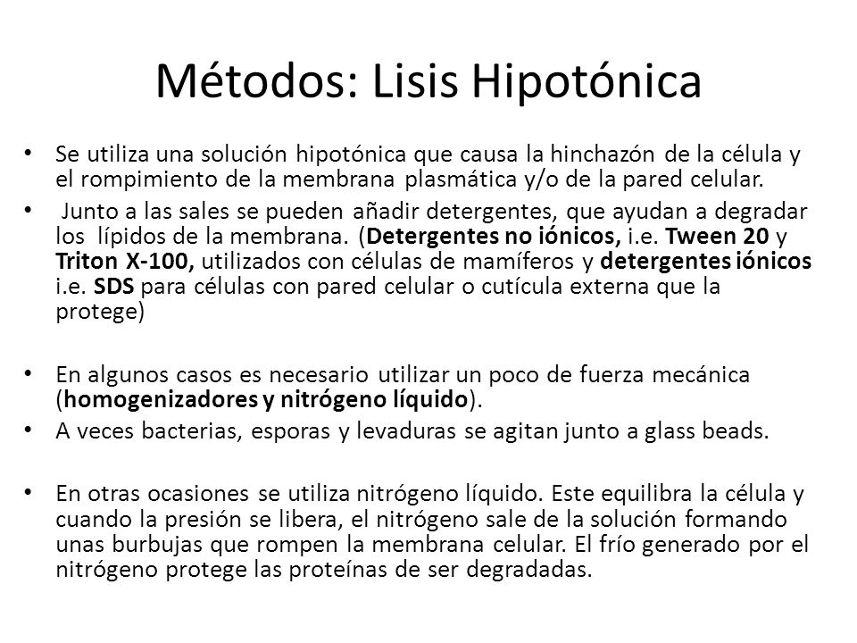 Métodos: Lisis Hipotónica