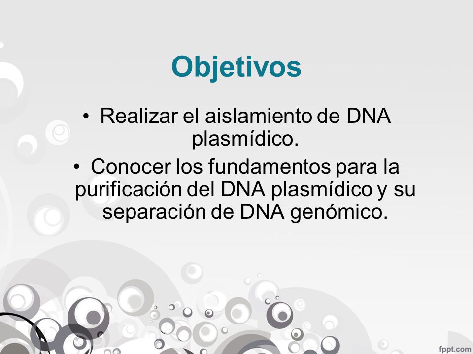 Realizar el aislamiento de DNA plasmídico.