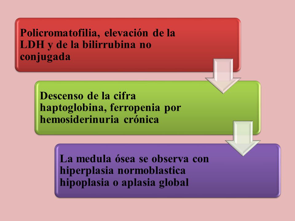 Policromatofilia, elevación de la LDH y de la bilirrubina no conjugada