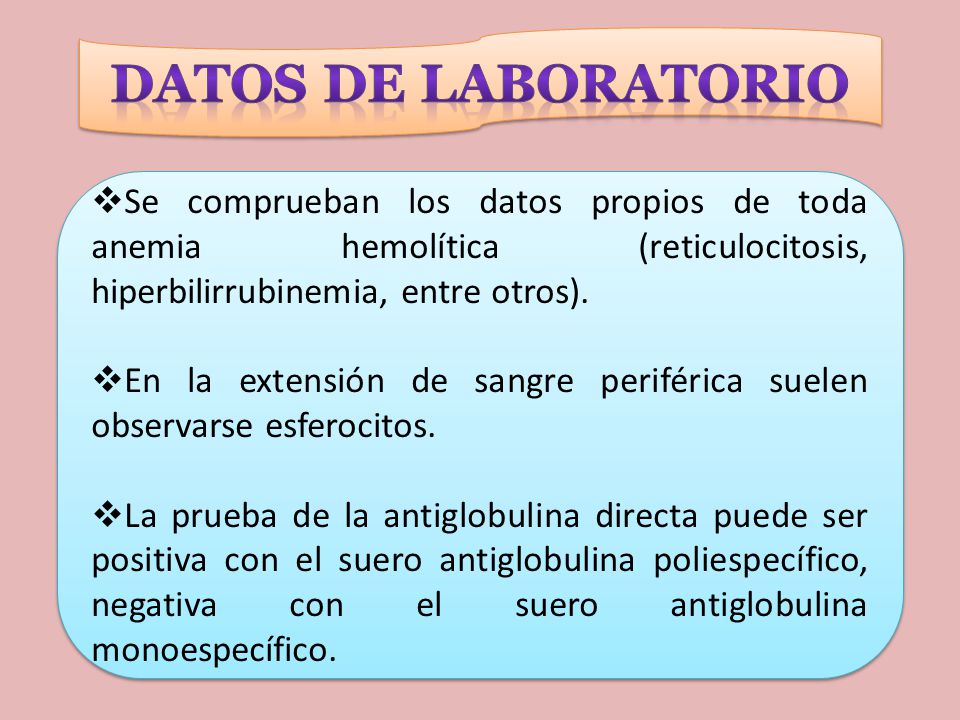 DATOS DE LABORATORIO Se comprueban los datos propios de toda anemia hemolítica (reticulocitosis, hiperbilirrubinemia, entre otros).