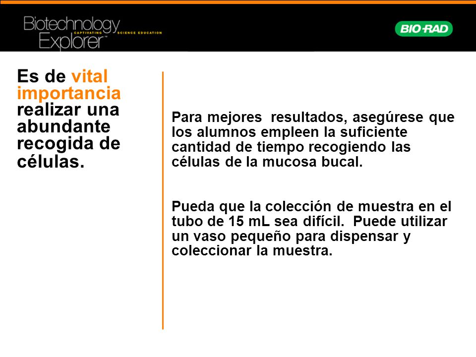 Es de vital importancia realizar una abundante recogida de células.