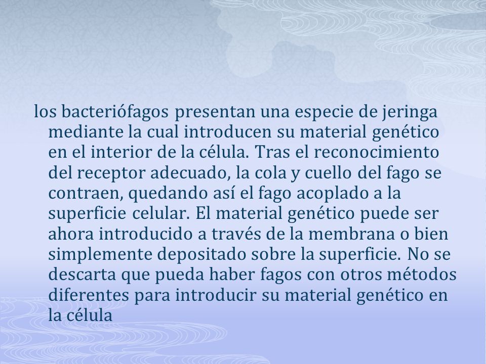 los bacteriófagos presentan una especie de jeringa mediante la cual introducen su material genético en el interior de la célula.