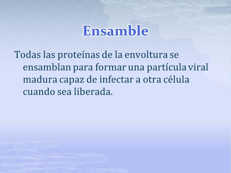 Ensamble Todas las proteínas de la envoltura se ensamblan para formar una partícula viral madura capaz de infectar a otra célula cuando sea liberada.