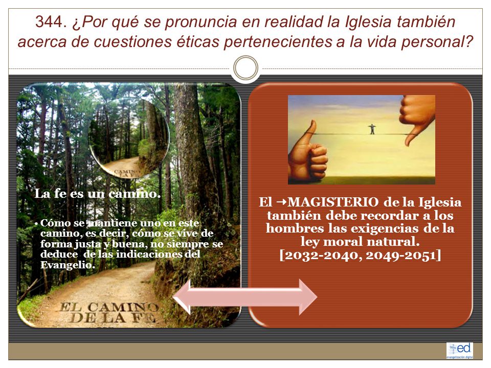 344. ¿Por qué se pronuncia en realidad la Iglesia también acerca de cuestiones éticas pertenecientes a la vida personal