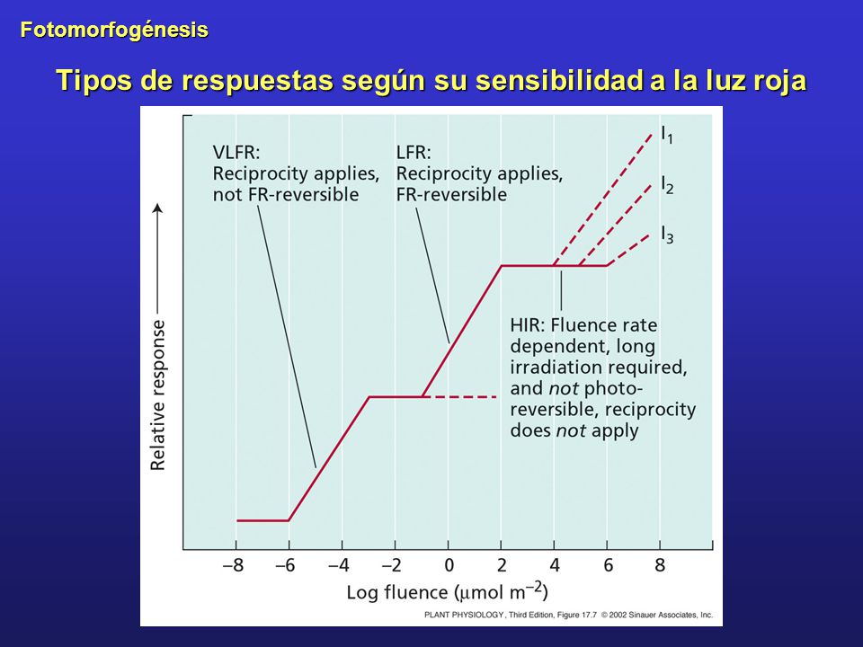 Tipos de respuestas según su sensibilidad a la luz roja