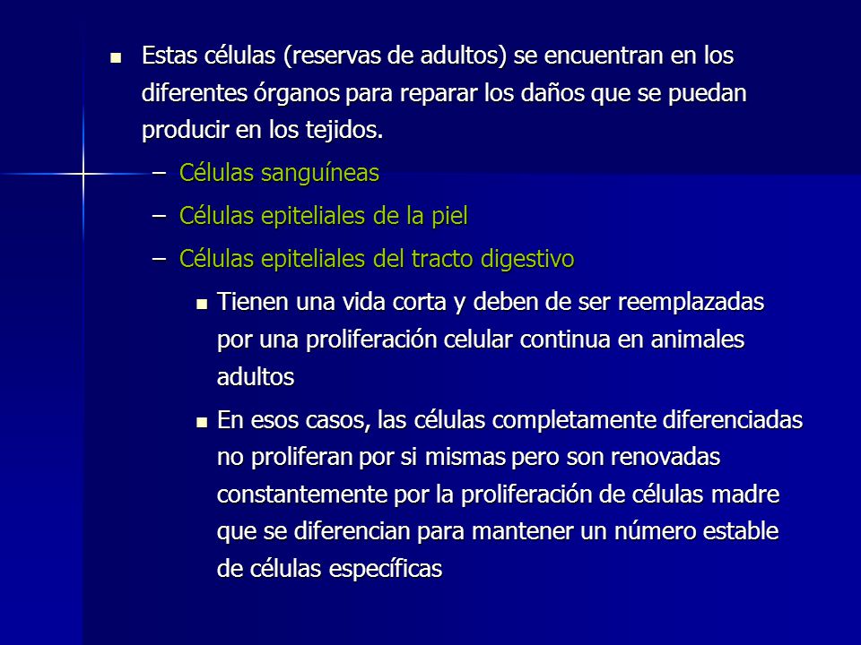 Estas células (reservas de adultos) se encuentran en los diferentes órganos para reparar los daños que se puedan producir en los tejidos.