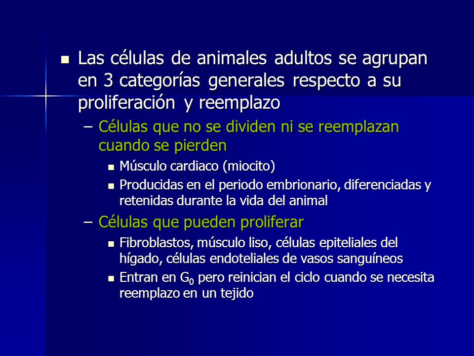 Las células de animales adultos se agrupan en 3 categorías generales respecto a su proliferación y reemplazo