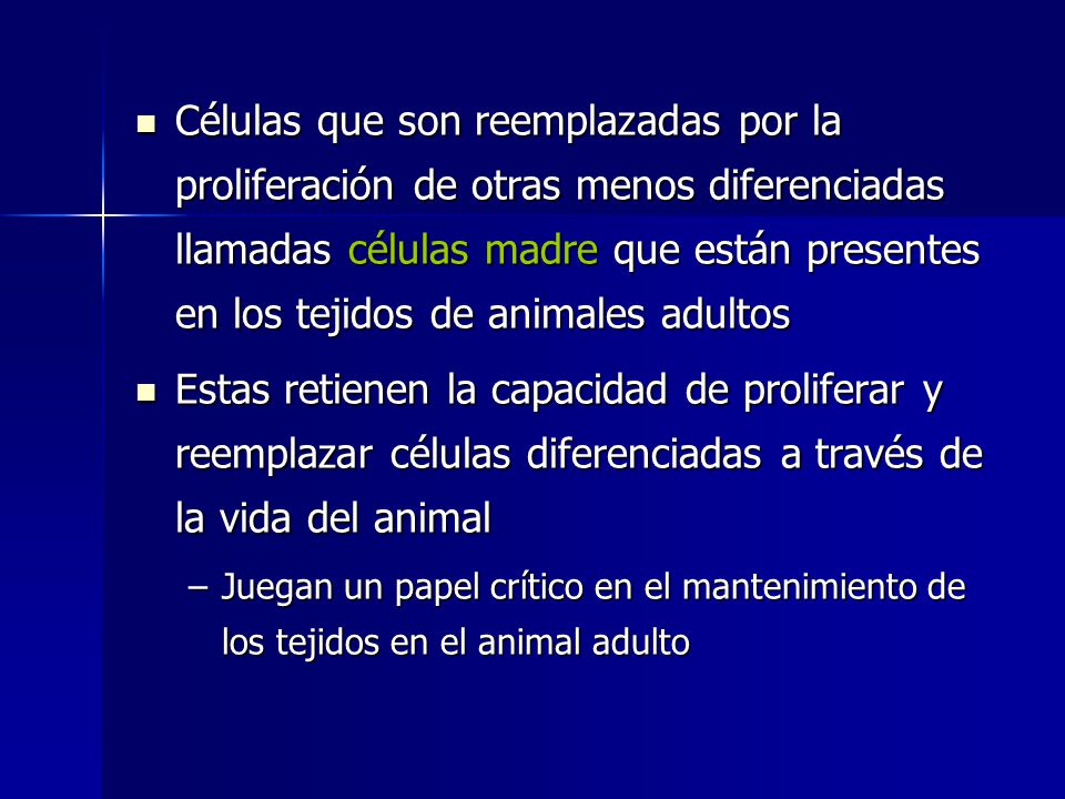 Células que son reemplazadas por la proliferación de otras menos diferenciadas llamadas células madre que están presentes en los tejidos de animales adultos