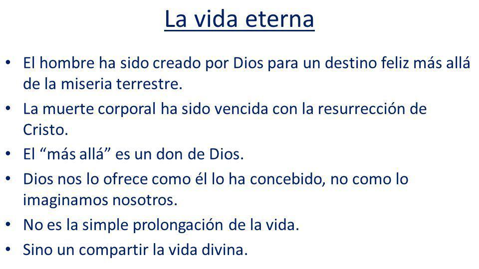 La vida eterna El hombre ha sido creado por Dios para un destino feliz más allá de la miseria terrestre.