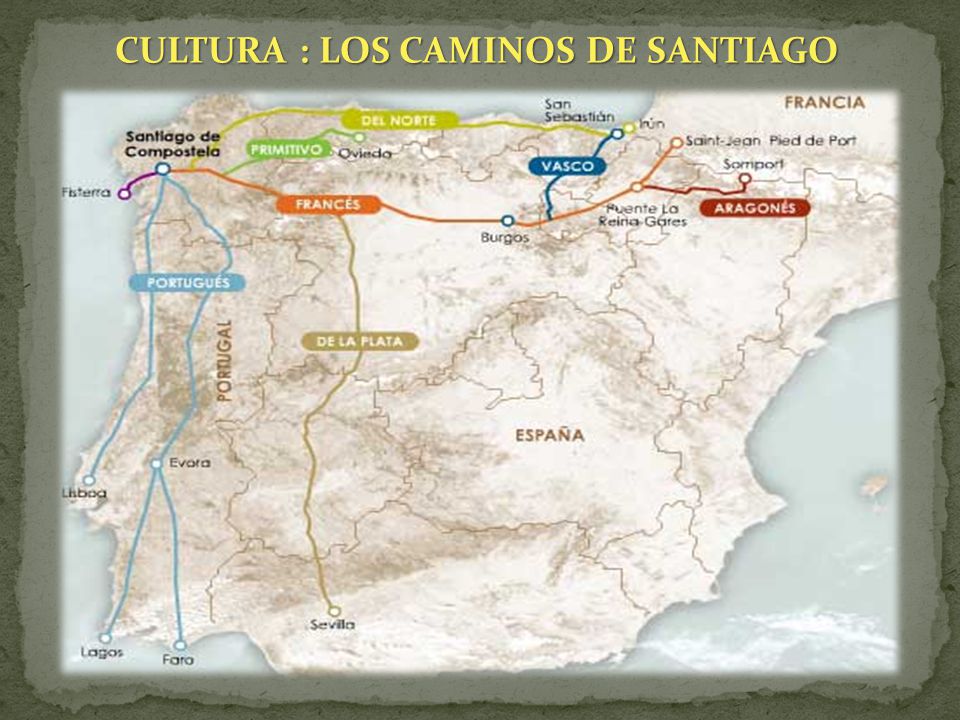 CULTURA : LOS CAMINOS DE SANTIAGO