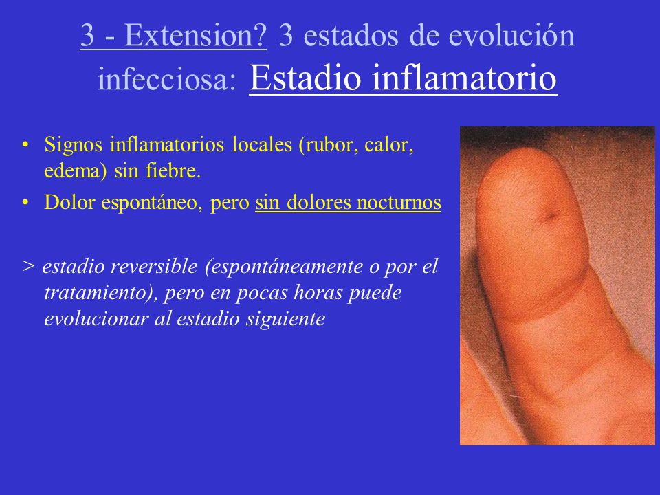 3 - Extension 3 estados de evolución infecciosa: Estadio inflamatorio