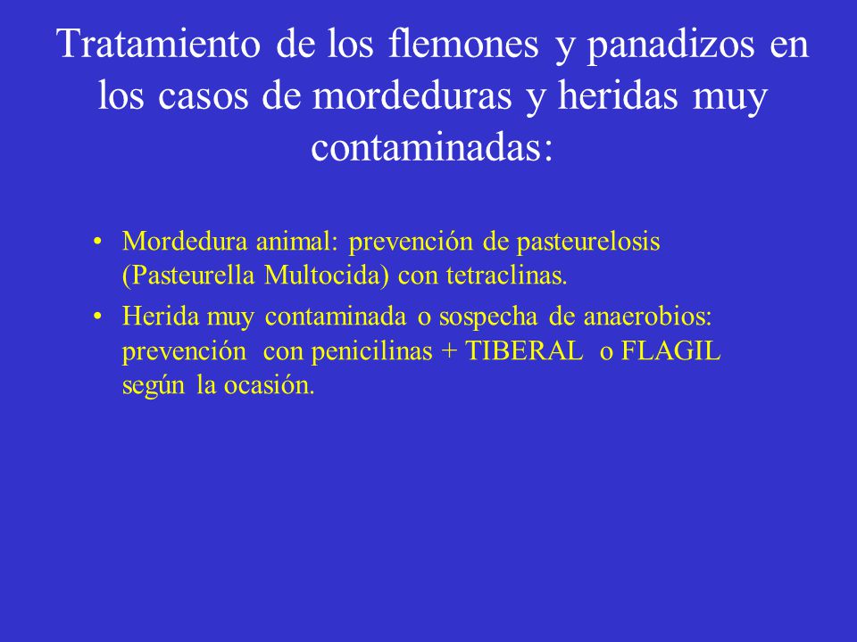 Tratamiento de los flemones y panadizos en los casos de mordeduras y heridas muy contaminadas: