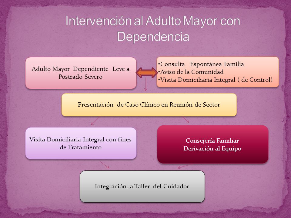 Intervención al Adulto Mayor con Dependencia