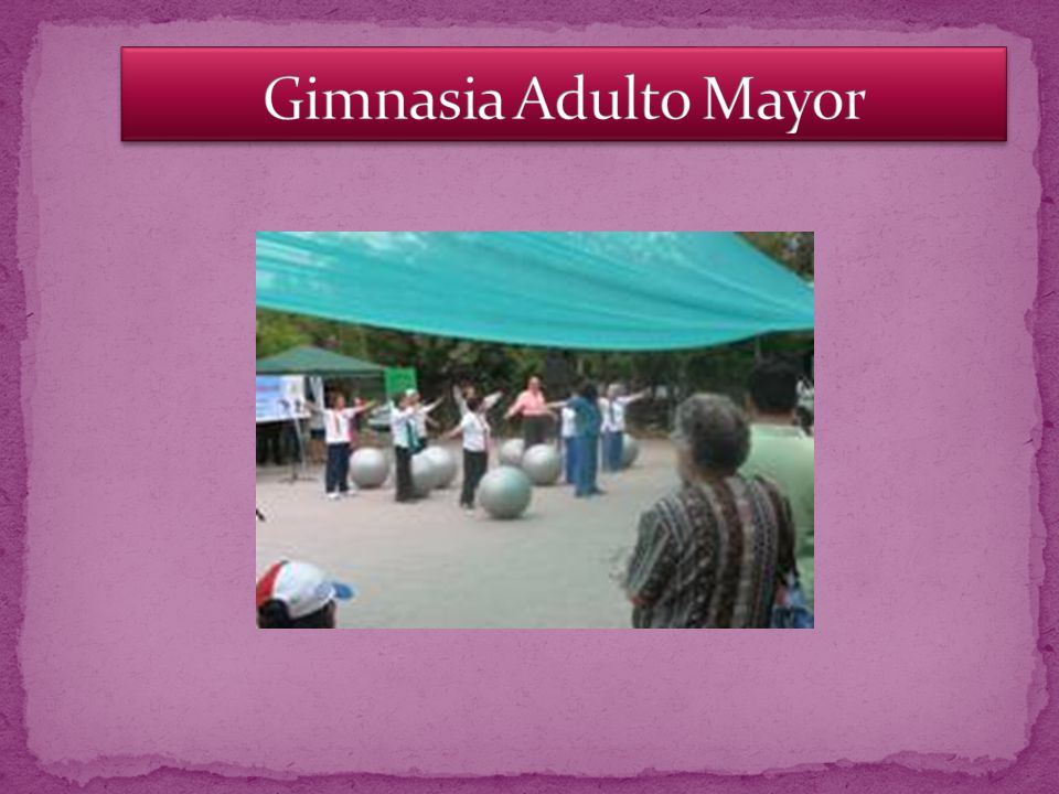 Gimnasia Adulto Mayor