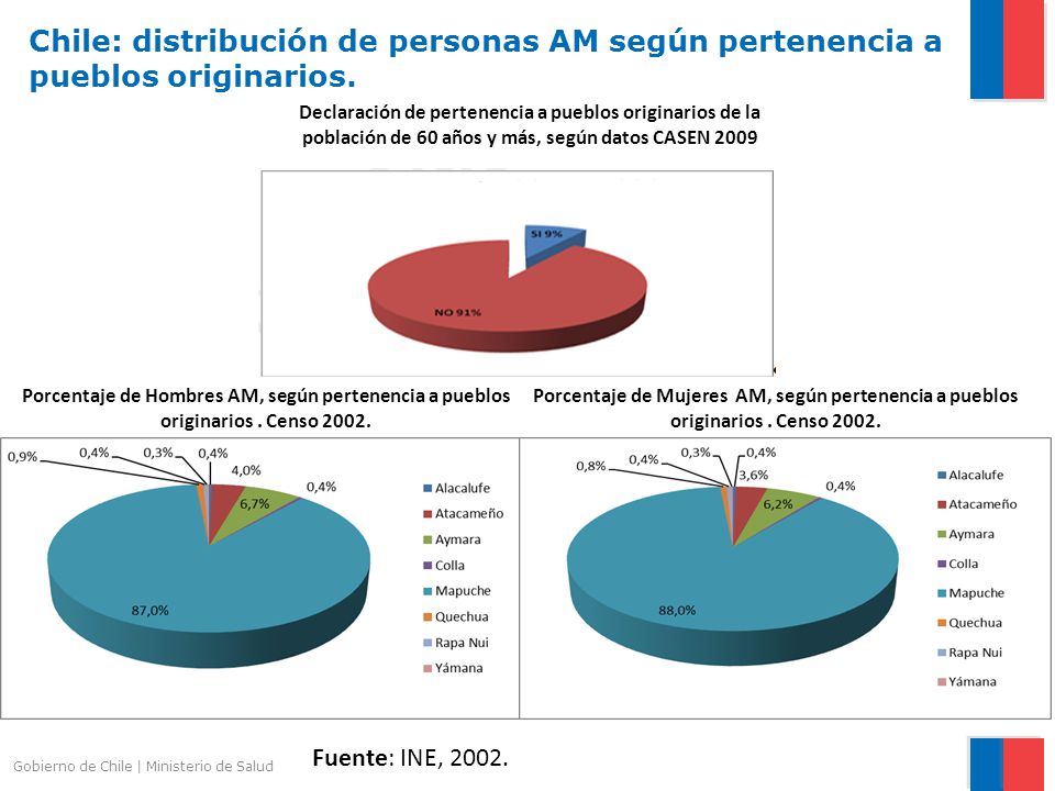 Chile: distribución de personas AM según pertenencia a pueblos originarios.