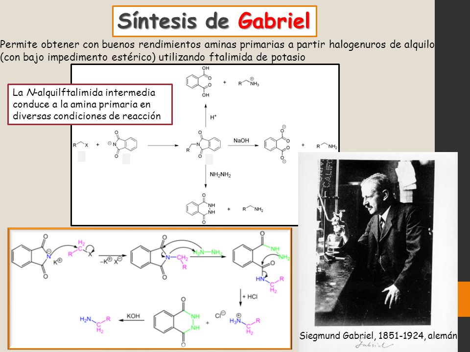 Síntesis de Gabriel Permite obtener con buenos rendimientos aminas primarias a partir halogenuros de alquilo.