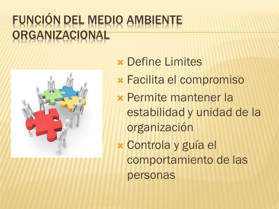 Función del medio ambiente organizacional