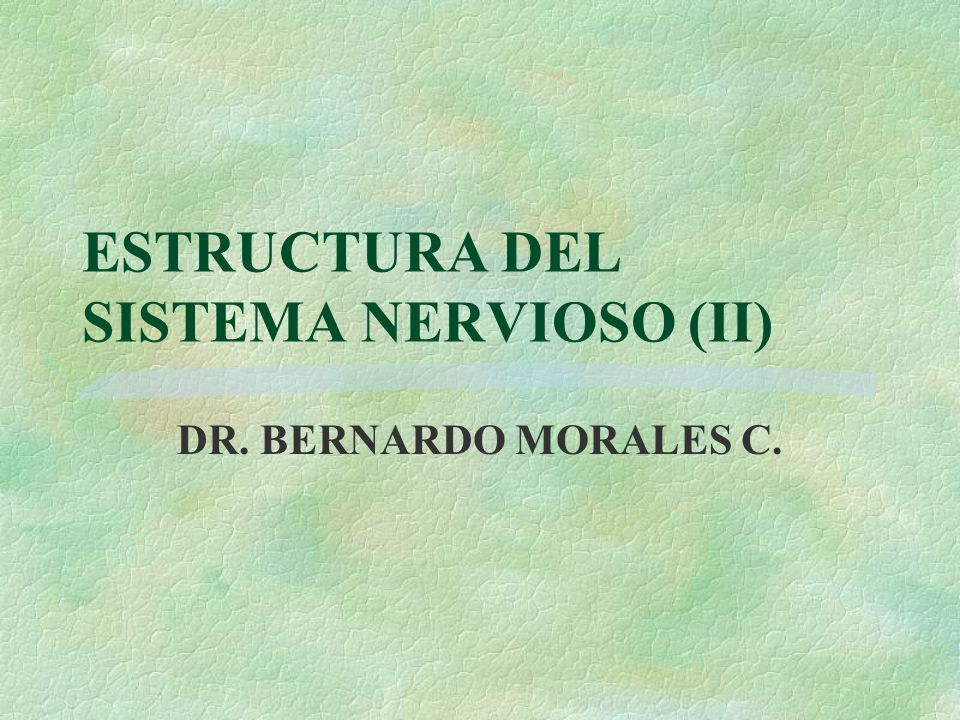 ESTRUCTURA DEL SISTEMA NERVIOSO (II)