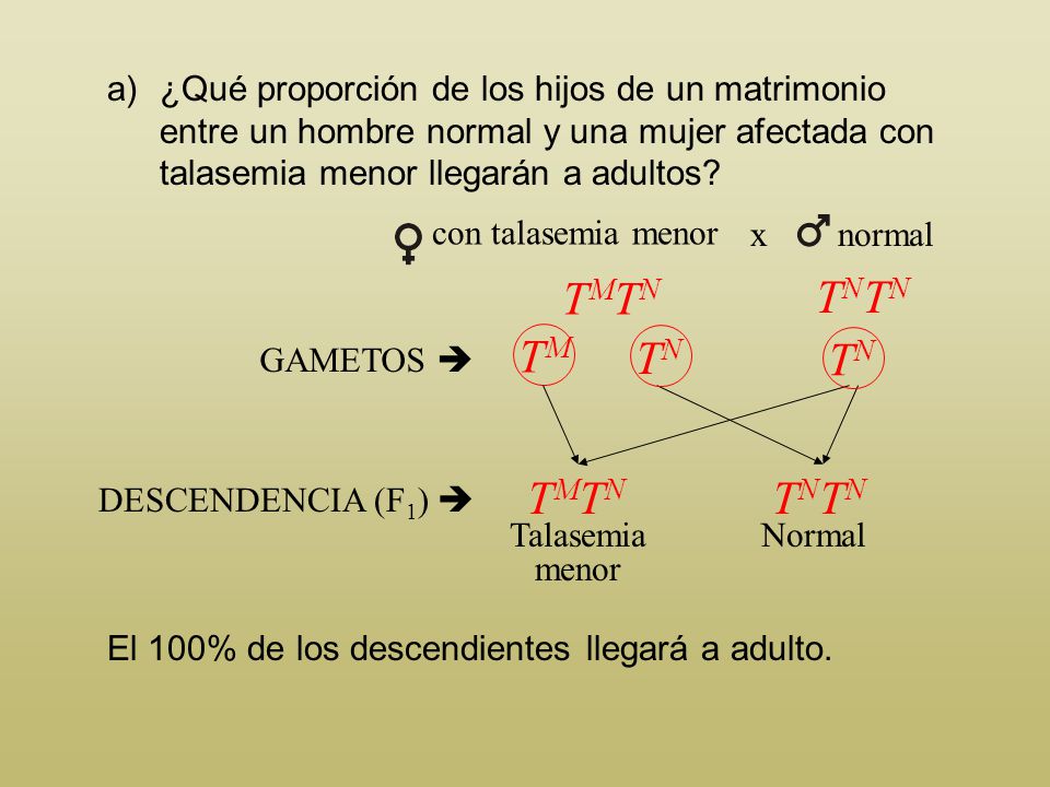 TMTN TNTN TM TN TN TMTN TNTN con talasemia menor x normal