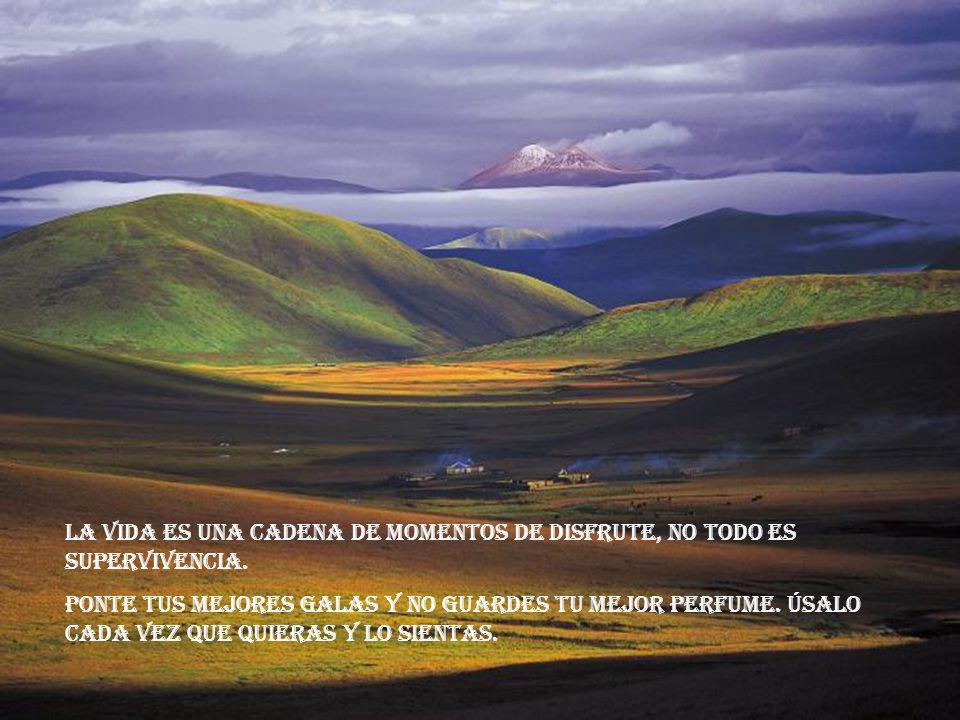 La vida es una cadena de momentos de disfrute, no todo es supervivencia.