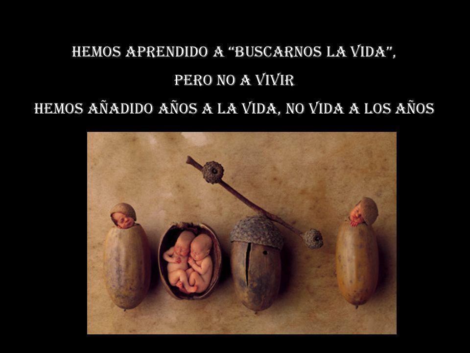 Hemos aprendido a buscarnos la vida , pero no a vivir