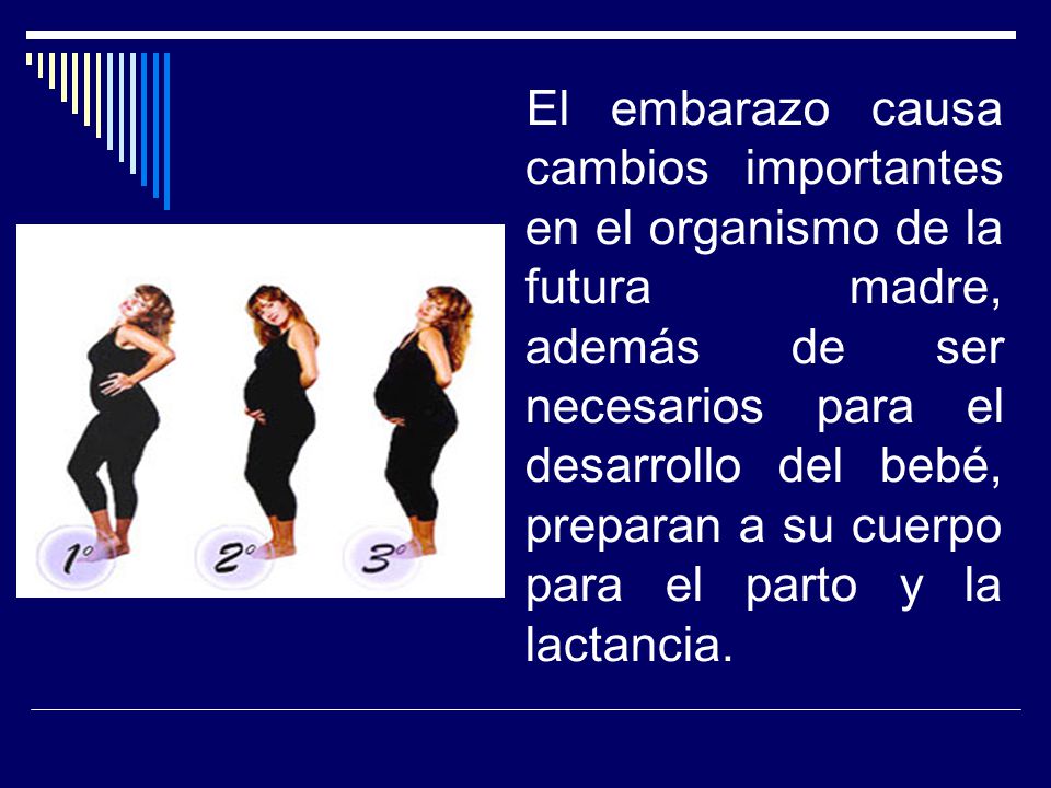 El embarazo causa cambios importantes en el organismo de la futura madre, además de ser necesarios para el desarrollo del bebé, preparan a su cuerpo para el parto y la lactancia.