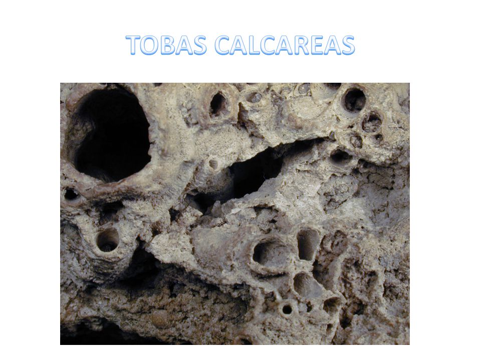 TOBAS CALCAREAS