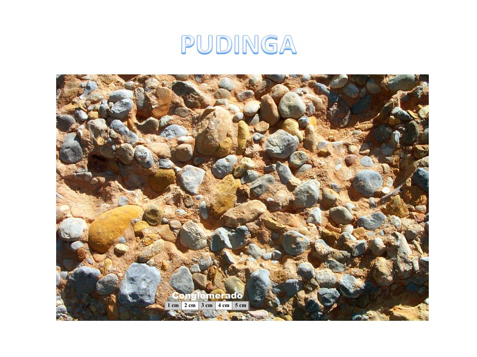 PUDINGA