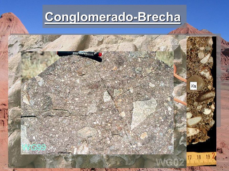 Conglomerado-Brecha Psefitas: más del 50% de componentes mayores a 2 mm.