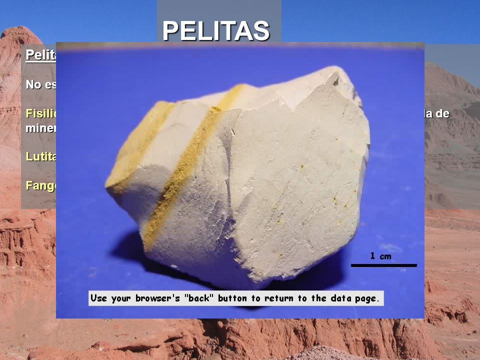 PELITAS Pelitas: No es posible diferenciar a simple vista limolitas de arcillitas.