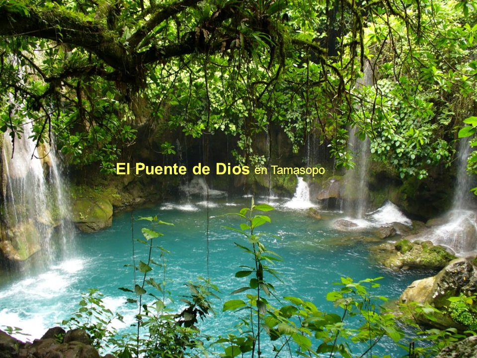El Puente de Dios en Tamasopo