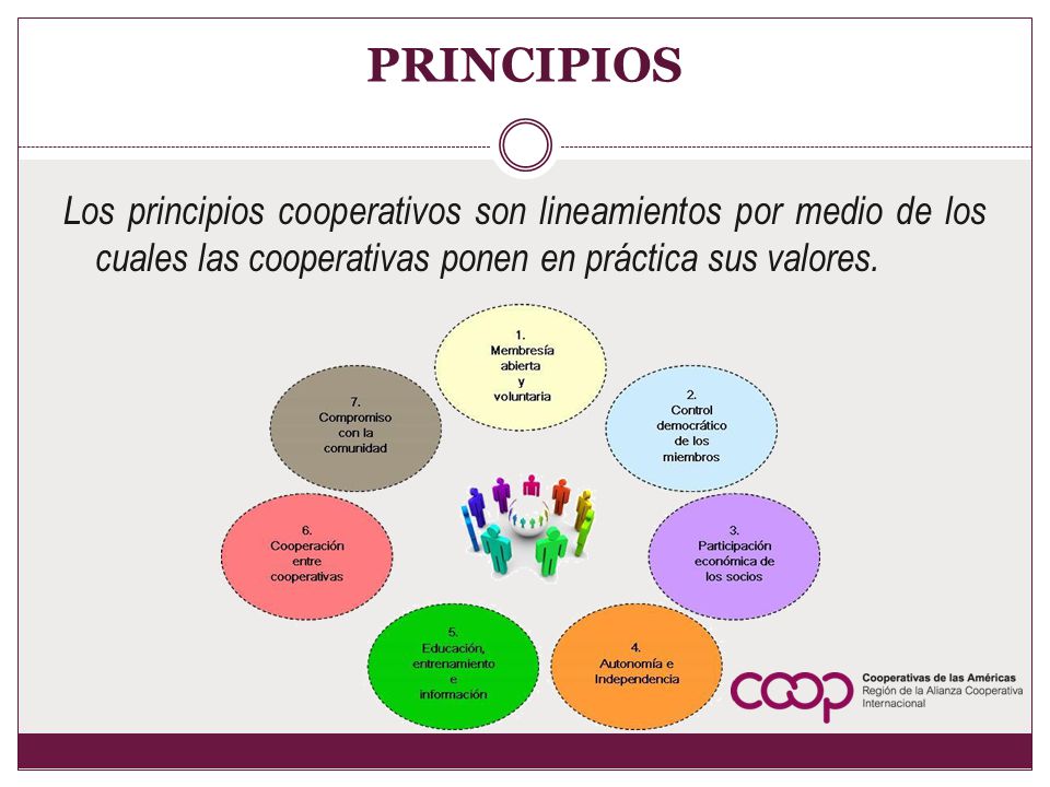 PRINCIPIOS Los principios cooperativos son lineamientos por medio de los cuales las cooperativas ponen en práctica sus valores.