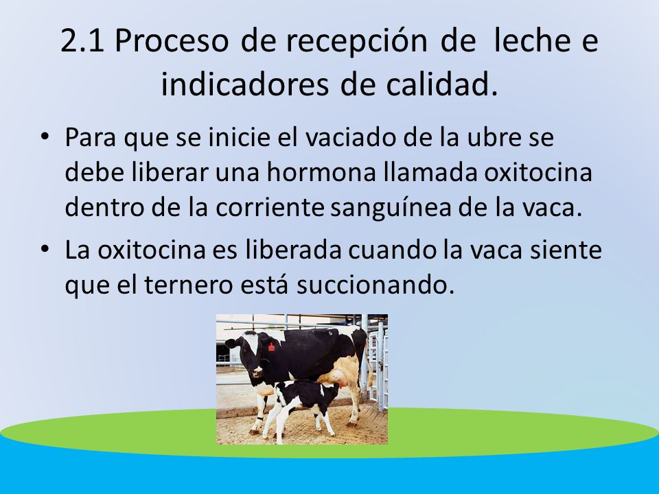 2.1 Proceso de recepción de leche e indicadores de calidad.
